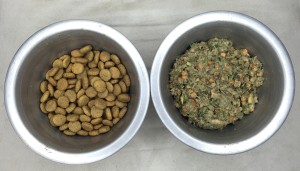 Best All Natural Dog Food